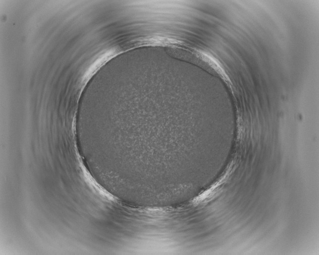 X0000086970946200704231512