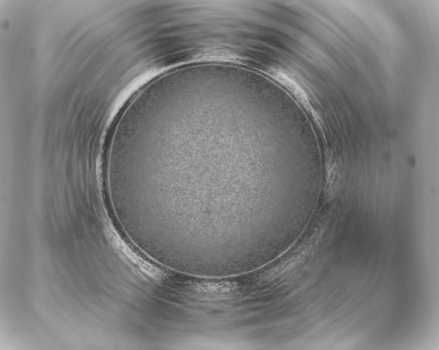 X0000086970947200704231512