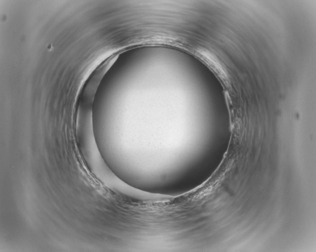 X0000086970948200704231512