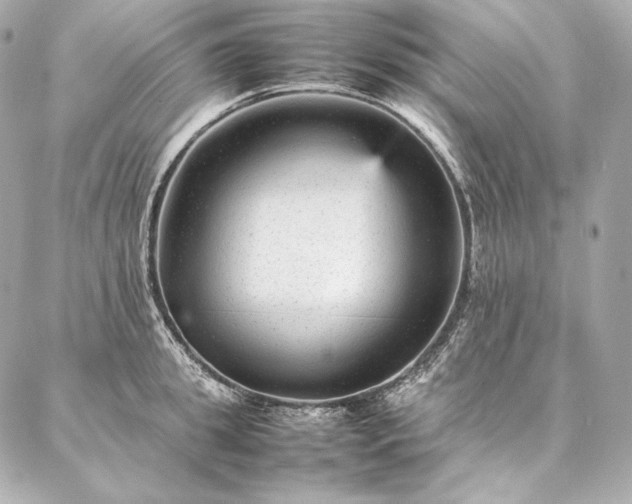 X0000086970949200704231512