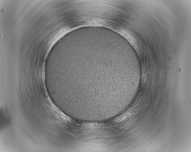 X0000086970950200704231512