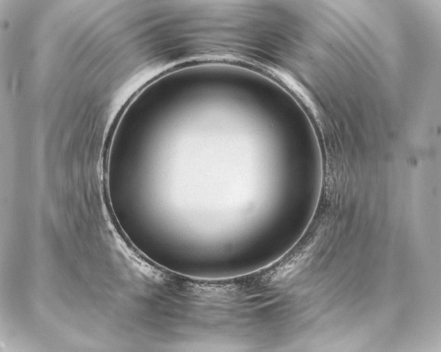 X0000086970951200704231512