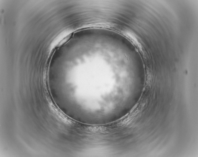 X0000086970952200704231512