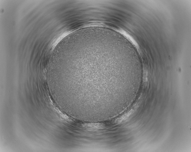 X0000086970953200704231512