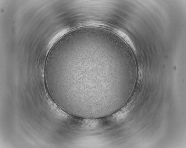 X0000086970954200704231512