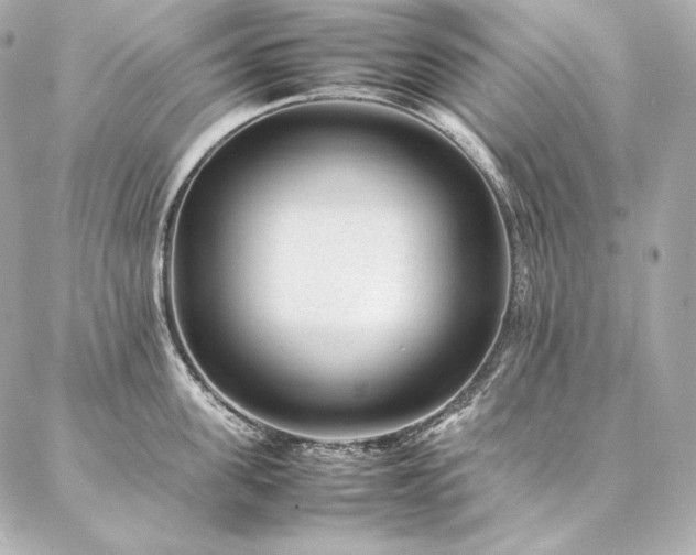 X0000086970955200704231512