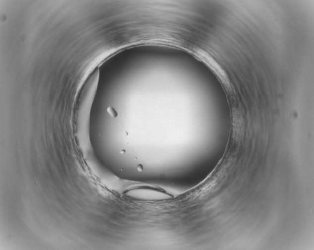 X0000086970956200704231512