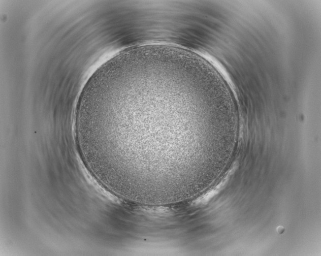 X0000086970957200704231512