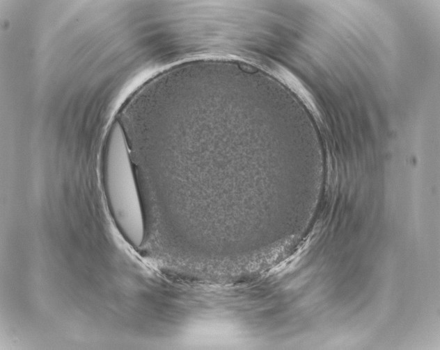 X0000086970958200704231512