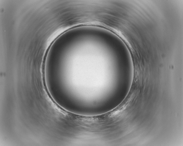 X0000086970959200704231512