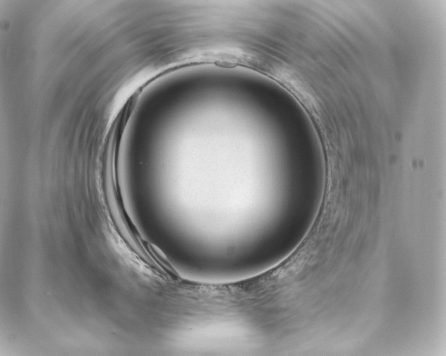 X0000086970960200704231512