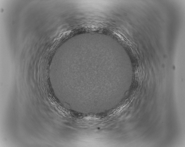 X0000086970961200704231511