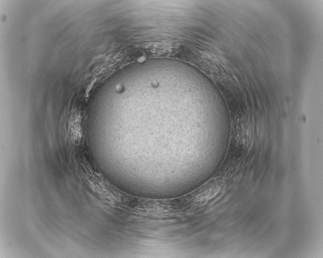 X0000086970962200704231511