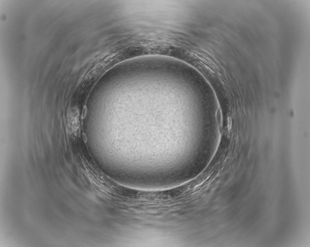 X0000086970963200704231511