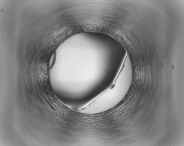 X0000086970964200704231511