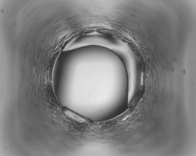 X0000086970965200704231511