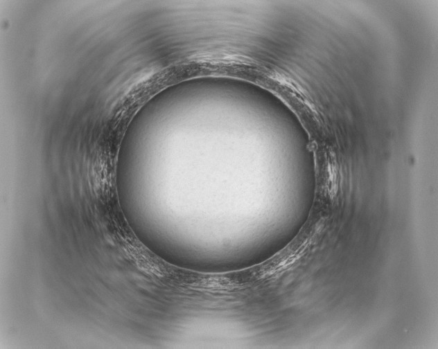 X0000086970966200704231511