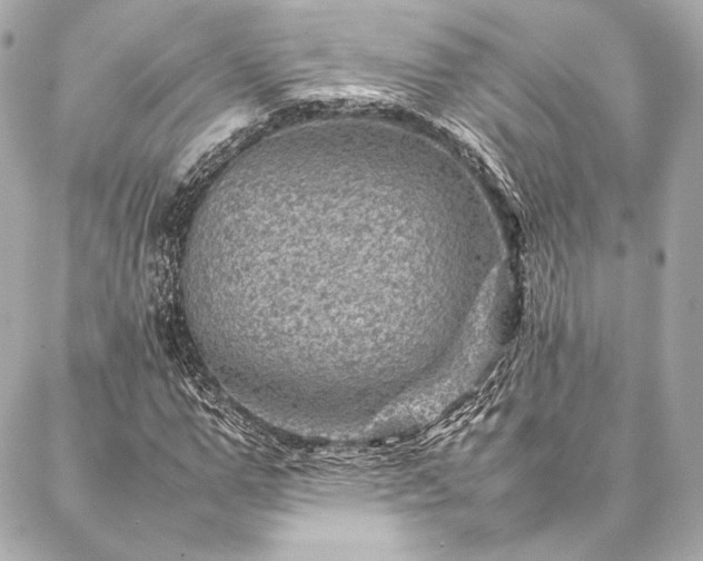 X0000086970967200704231511