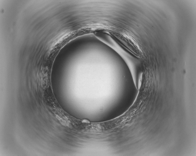 X0000086970968200704231511