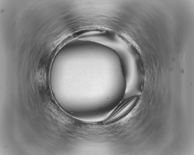 X0000086970969200704231511