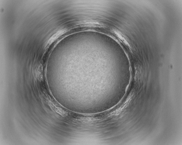 X0000086970970200704231511