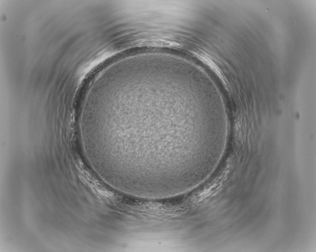 X0000086970971200704231511