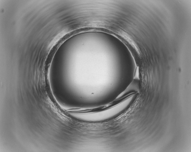 X0000086970972200704231511