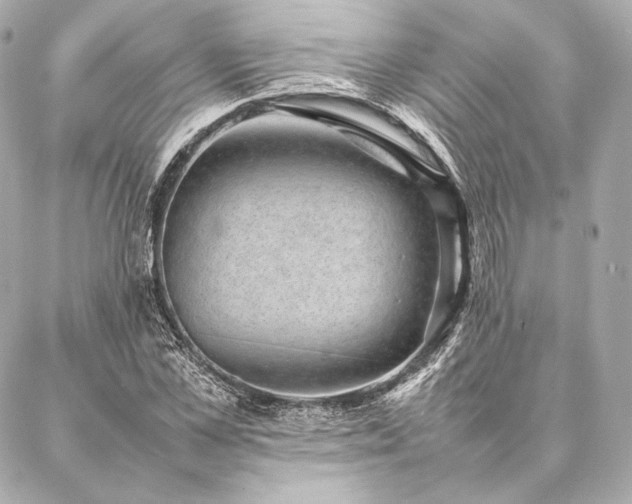 X0000086970973200704231511