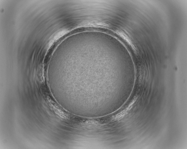 X0000086970974200704231511