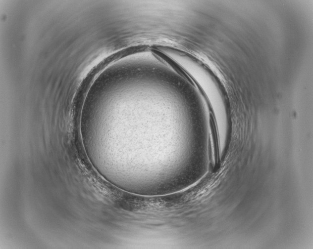 X0000086970975200704231511