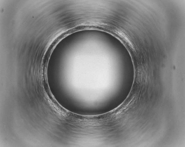 X0000086970976200704231511