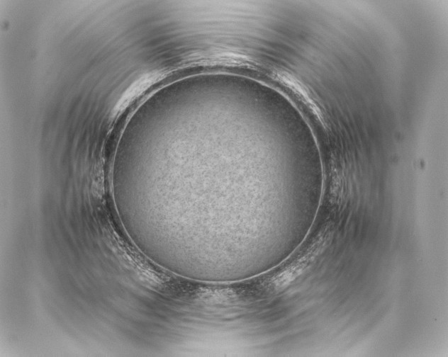 X0000086970978200704231511