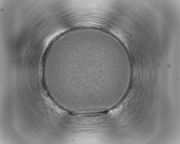 X0000086970979200704231511