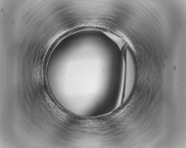 X0000086970980200704231511