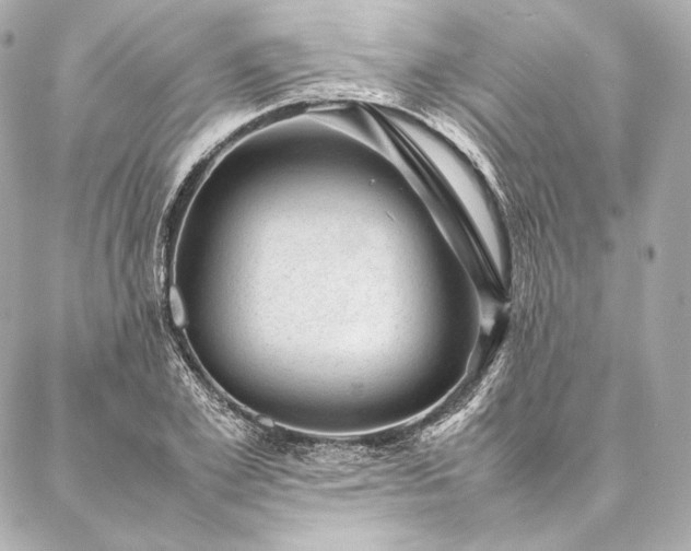 X0000086970981200704231511