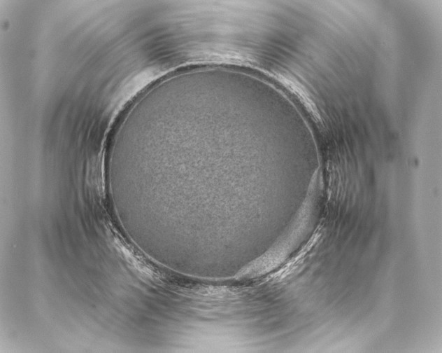 X0000086970982200704231511