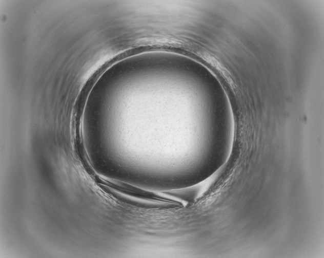 X0000086970983200704231511