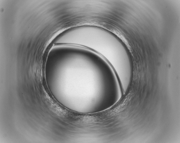 X0000086970984200704231511