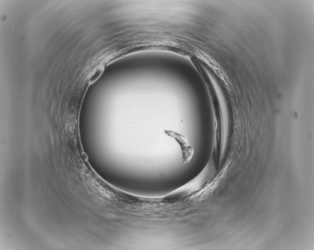 X0000086970985200704231511