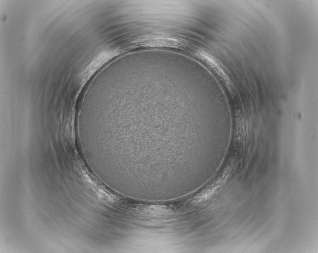 X0000086970986200704231511