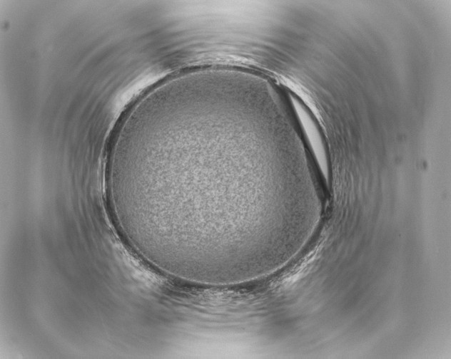 X0000086970987200704231511