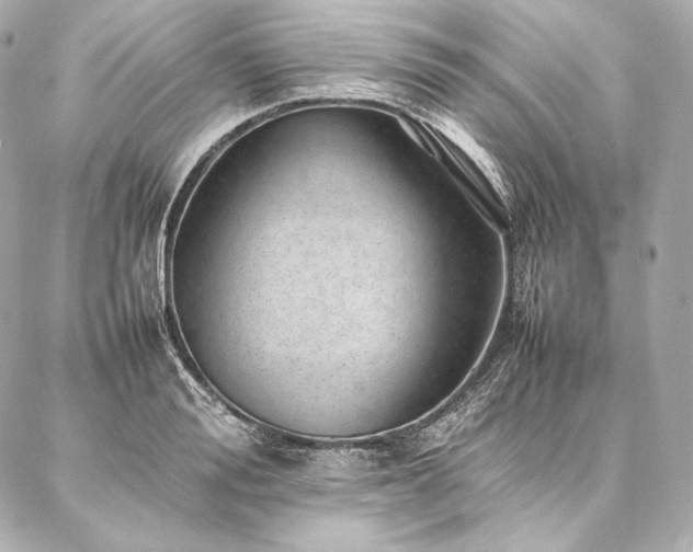 X0000086970988200704231511