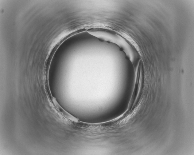 X0000086970989200704231511