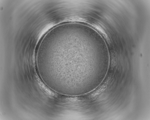 X0000086970990200704231511