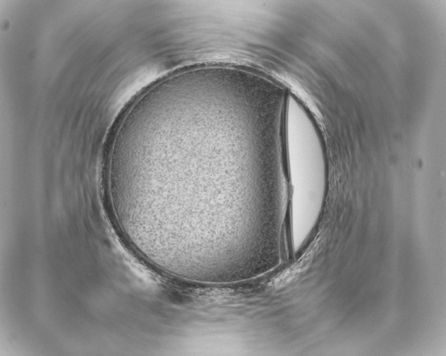 X0000086970991200704231511