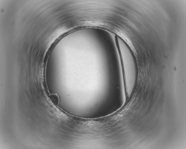 X0000086970992200704231511