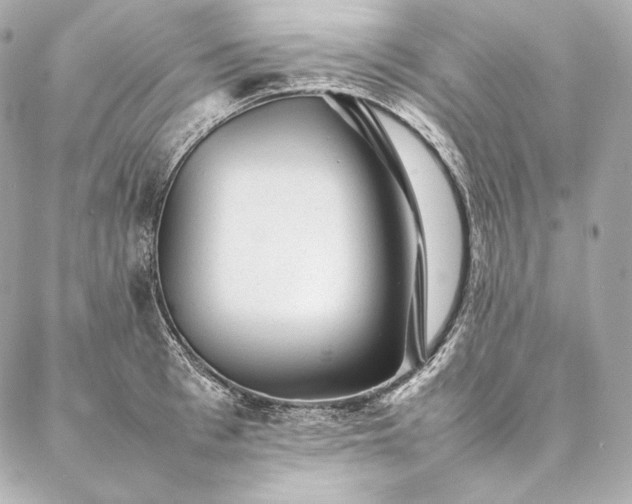 X0000086970993200704231511