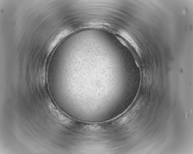 X0000086970994200704231511