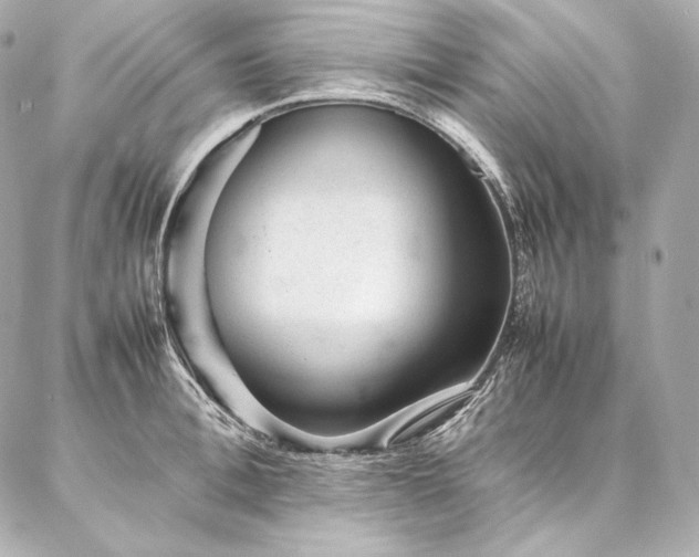 X0000086970996200704231511