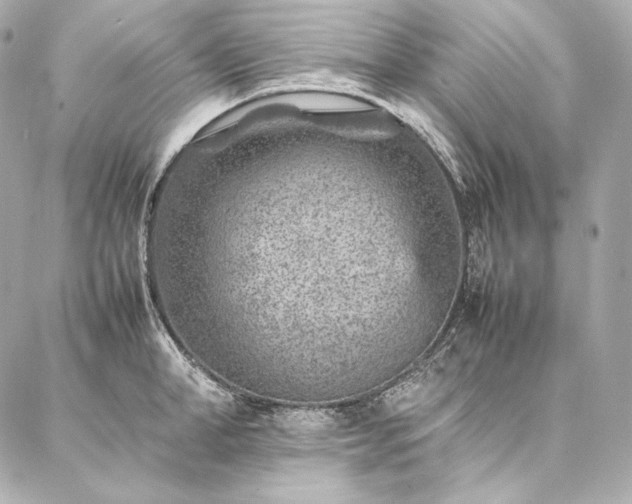 X0000086970998200704231511